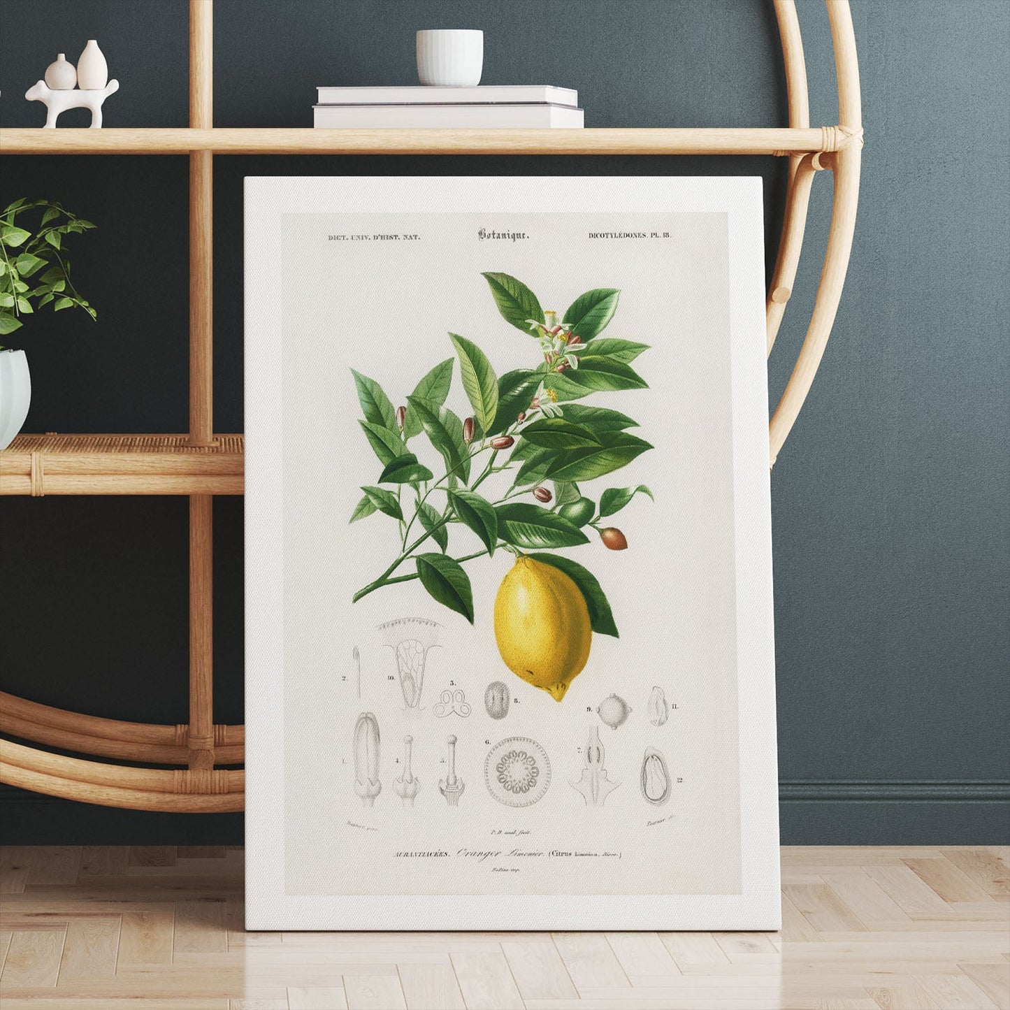 Kitchen decor with a canvas print of a lemon