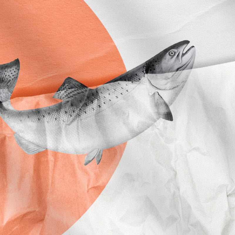 Salmon artwork