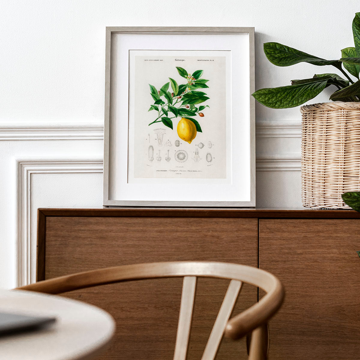 Dining room interior decor with a botanical lemon illustration print
