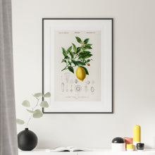 Load image into Gallery viewer, Dining room decor with artwork of a lemon

