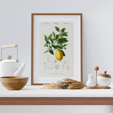Load image into Gallery viewer, Kitchen decor with artwork featuring a lemon
