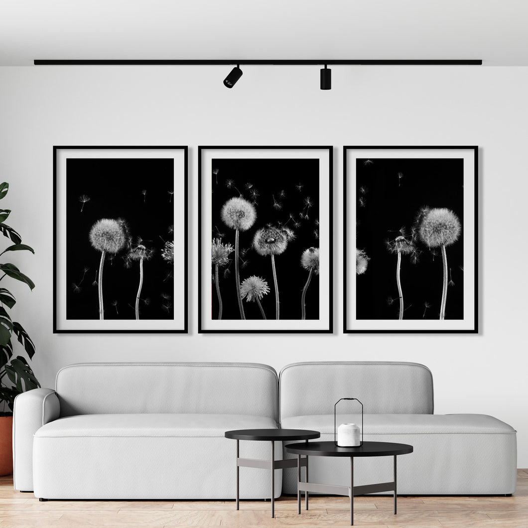 Set of 3 Dandelion Wall Art Prints